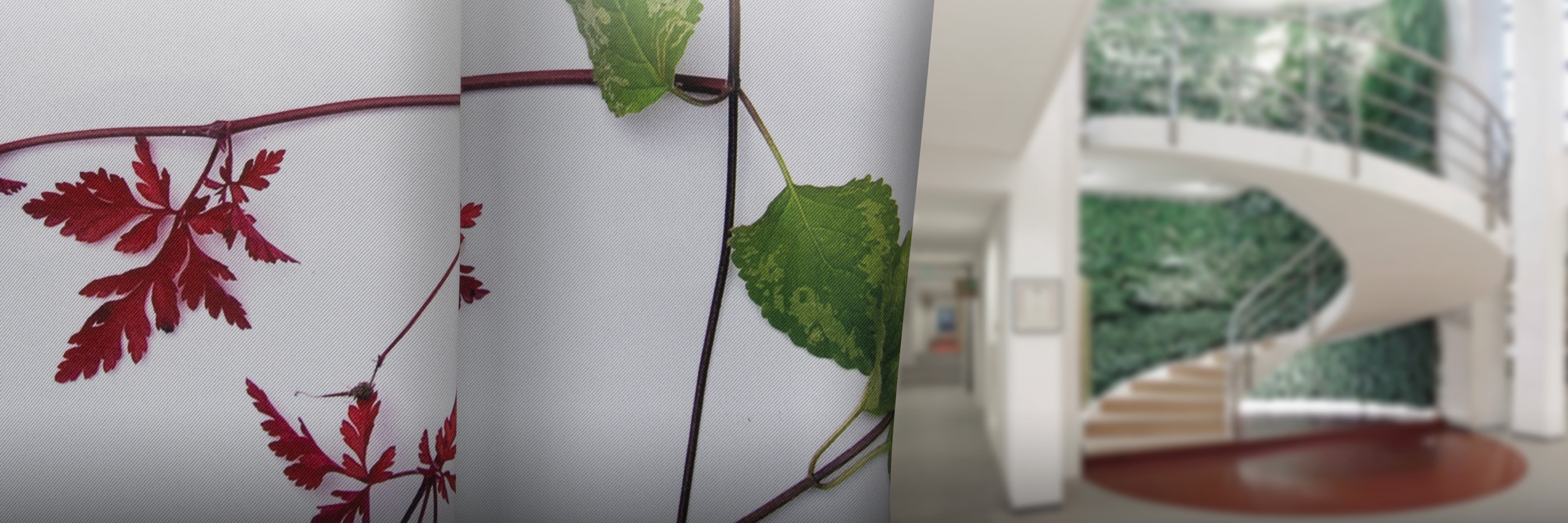FLOWERS+LEAVES - MARJET